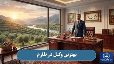 بهترین وکیل در طارم