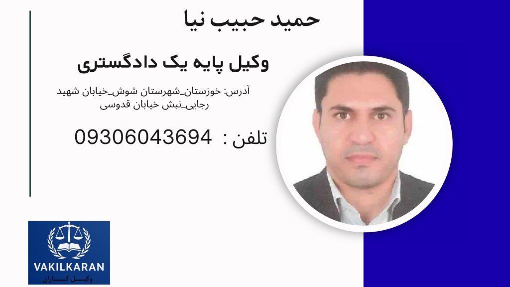 حمید حبیب نیا