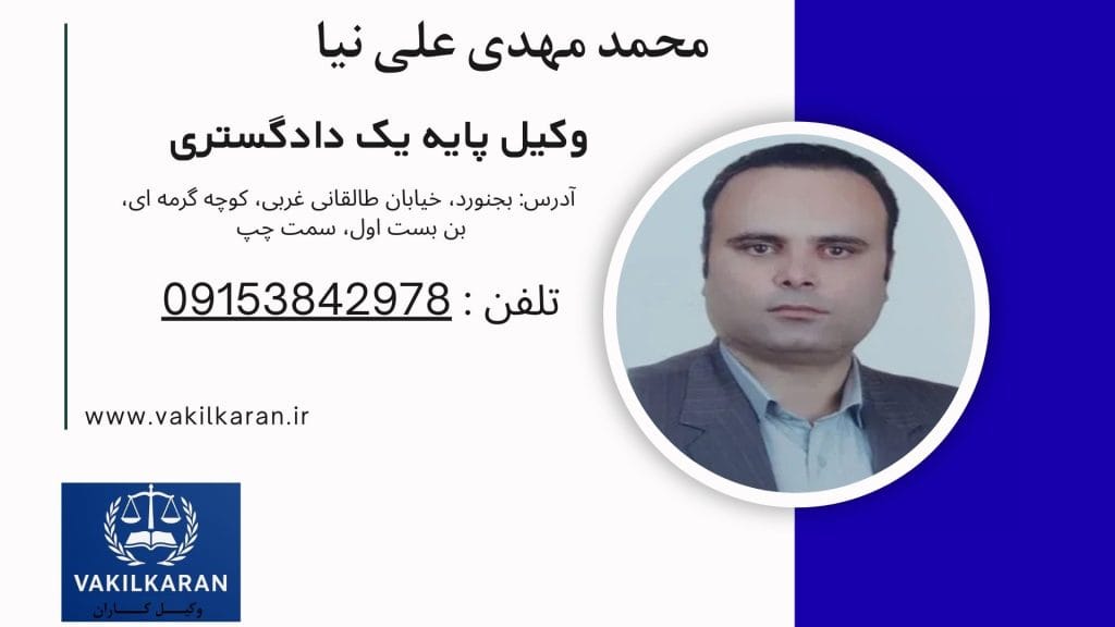 محمد مهدی علی نیا