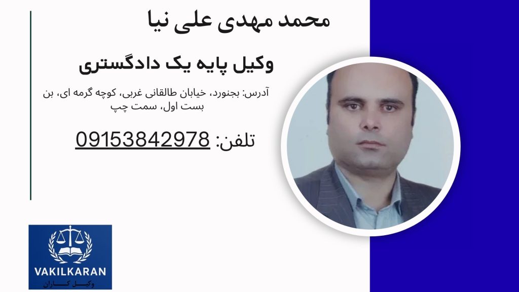 محمد مهدی علی نیا