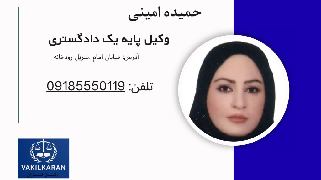 حمیده امینی