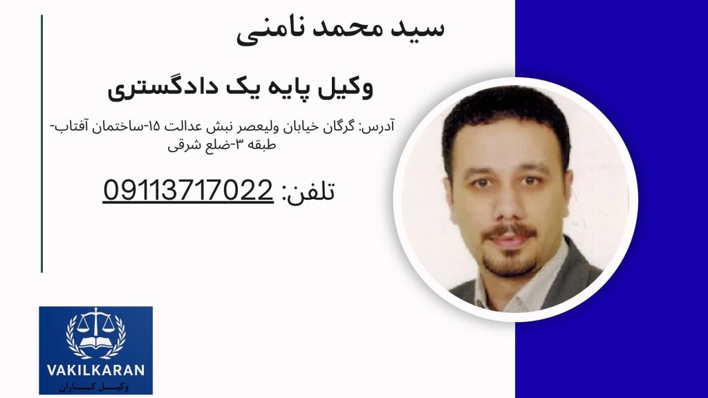 سید محمد نامنی