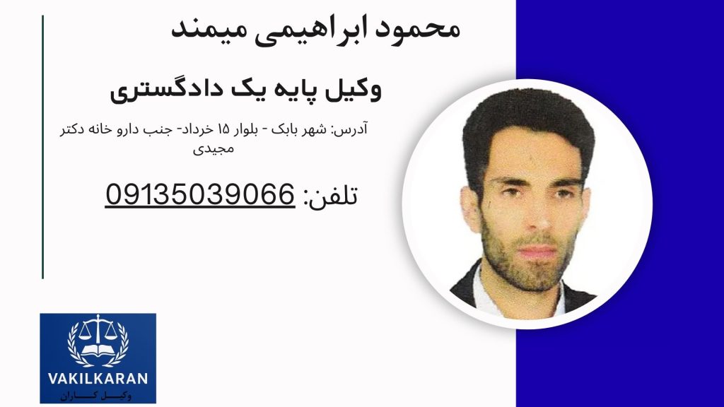 محمود ابراهیمی میمند