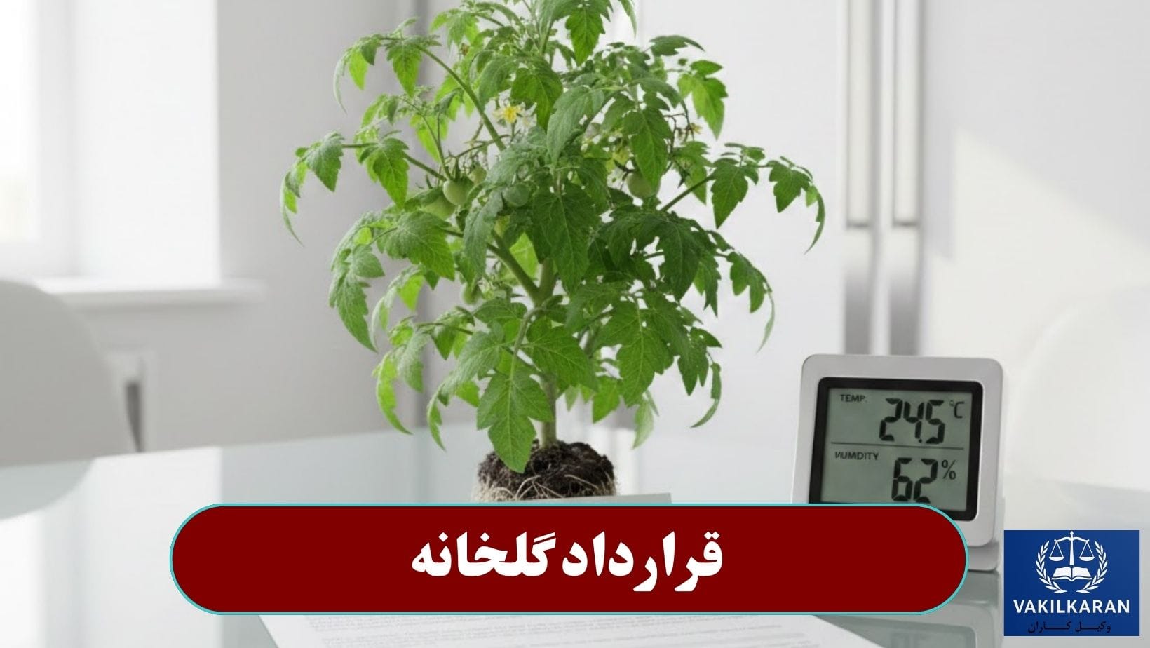 قرارداد گلخانه