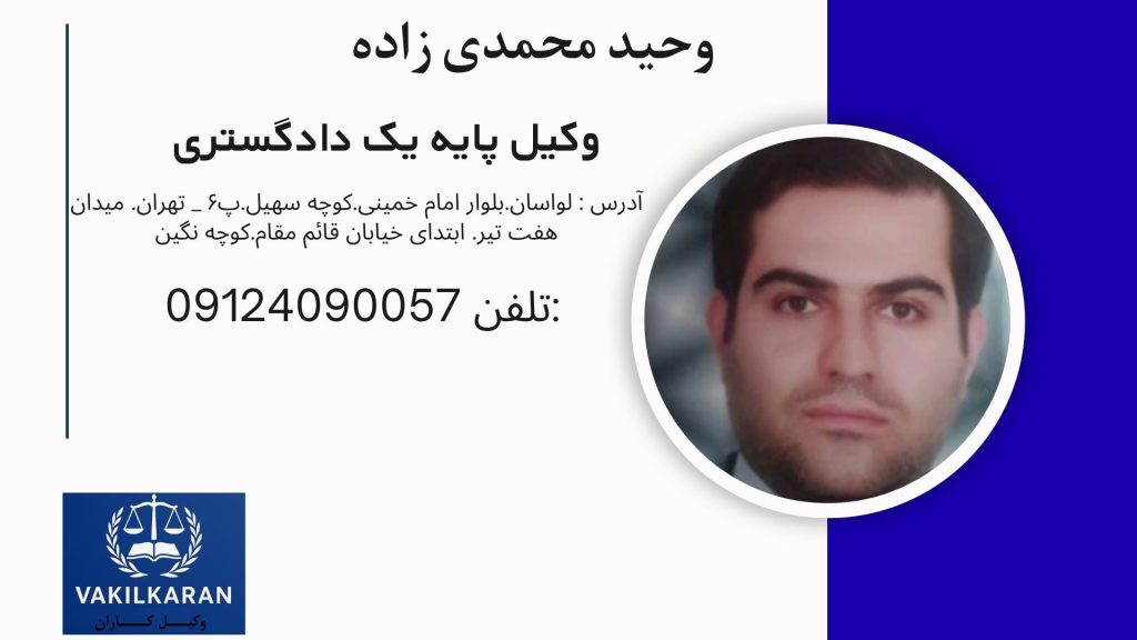 وحید محمدی زاده