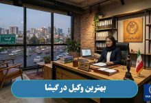 وکیل در گیشا